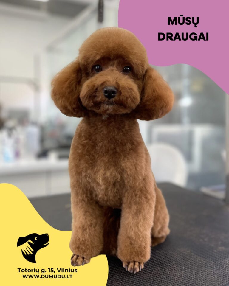 Instagram post from dumudu_vilnius. This post is in position 3.