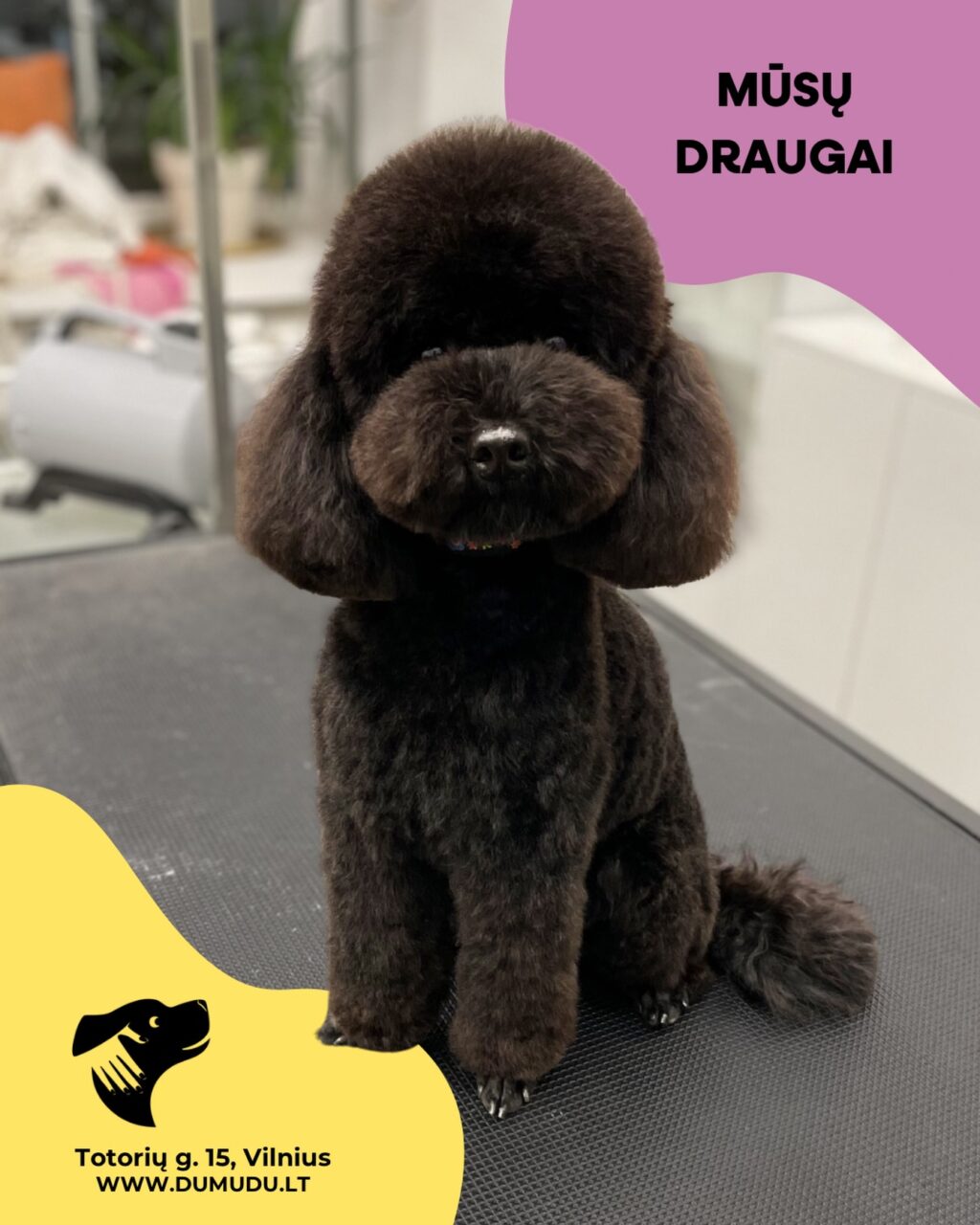 Instagram post from dumudu_vilnius. This post is in position 4.