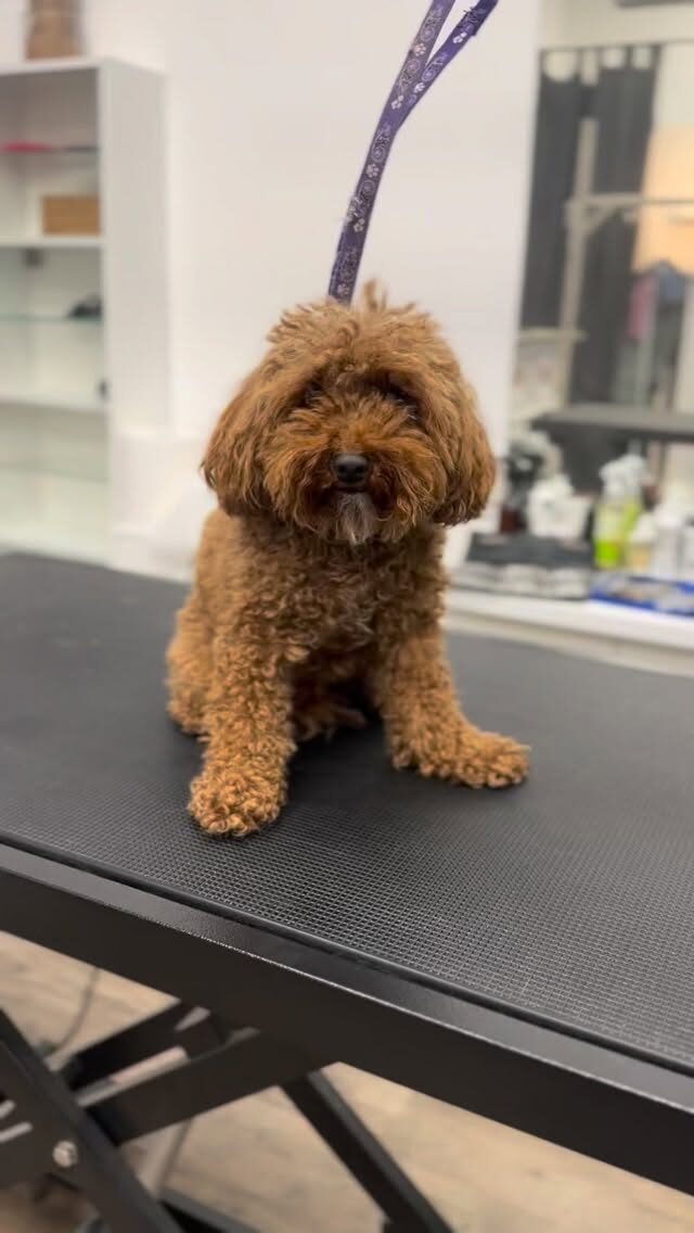 Instagram post from dumudu_vilnius. This post is in position 15.