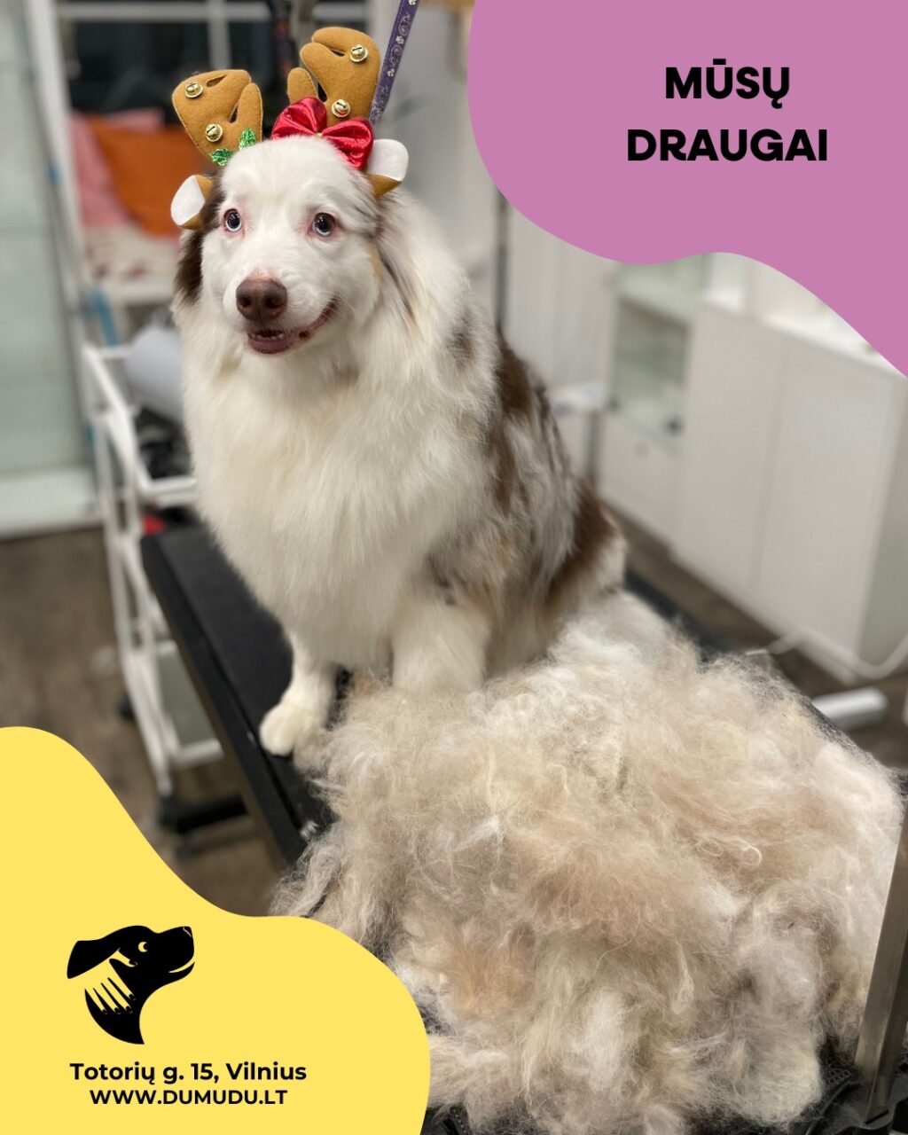 Instagram post from dumudu_vilnius. This post is in position 10.