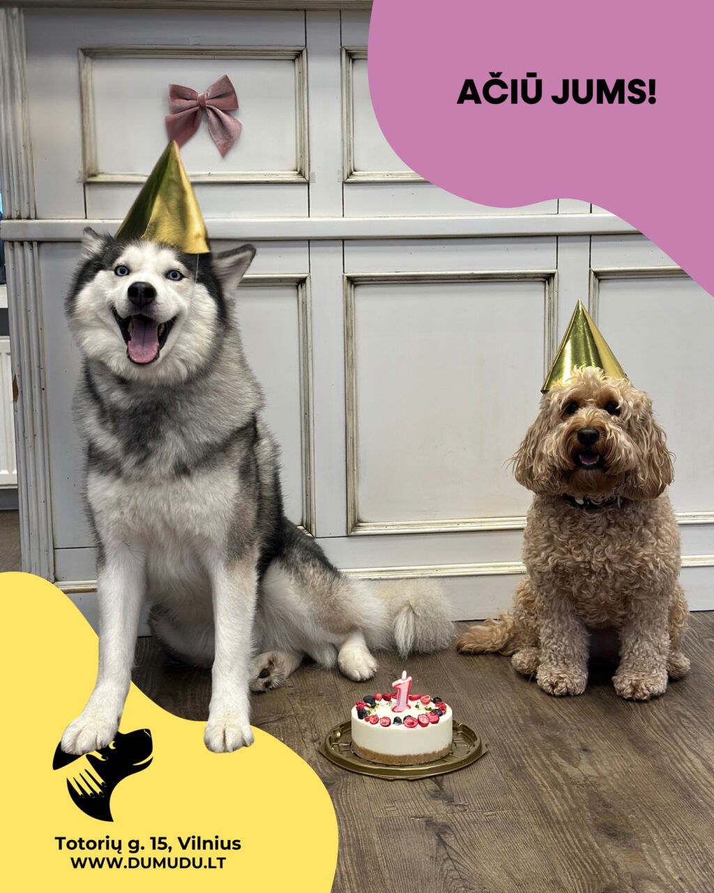 Instagram post from dumudu_vilnius. This post is in position 5.