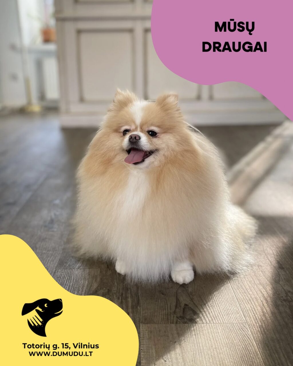 Instagram post from dumudu_vilnius. This post is in position 0.