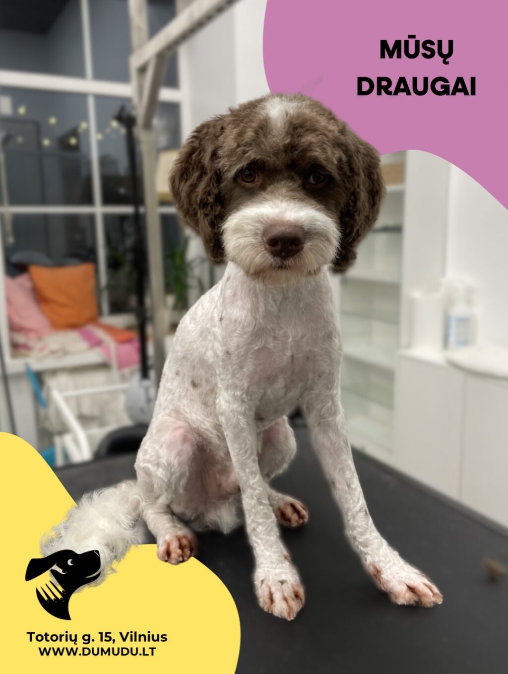 Instagram post from dumudu_vilnius. This post is in position 4.