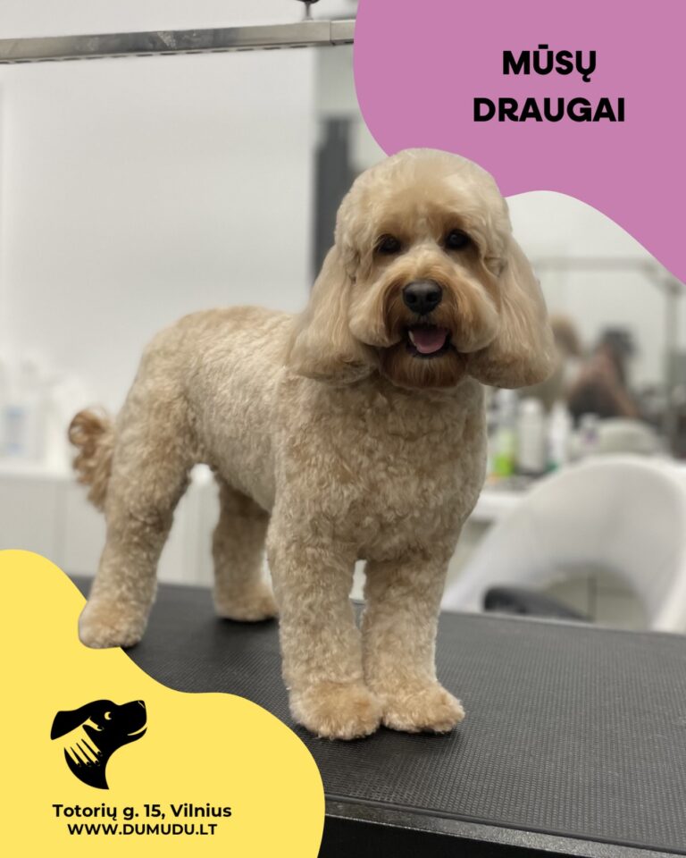 Instagram post from dumudu_vilnius. This post is in position 1.