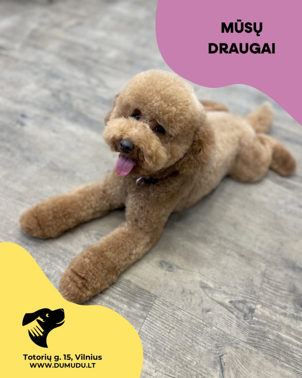 Instagram post from dumudu_vilnius. This post is in position 5.