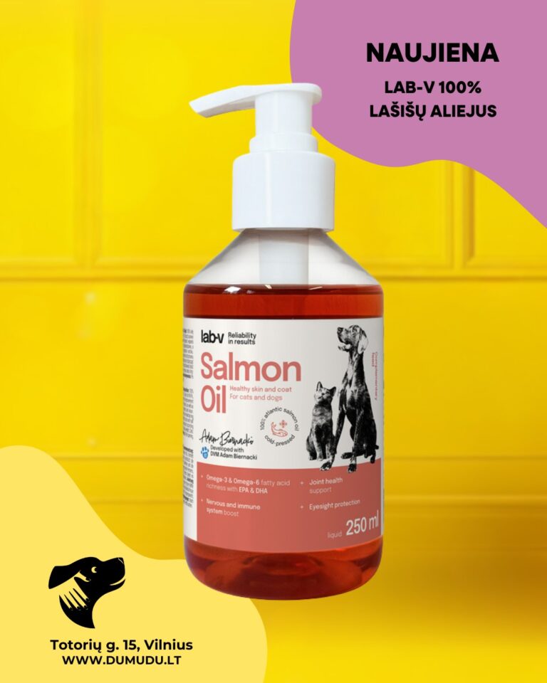 Instagram post from dumudu_vilnius. This post is in position 16.