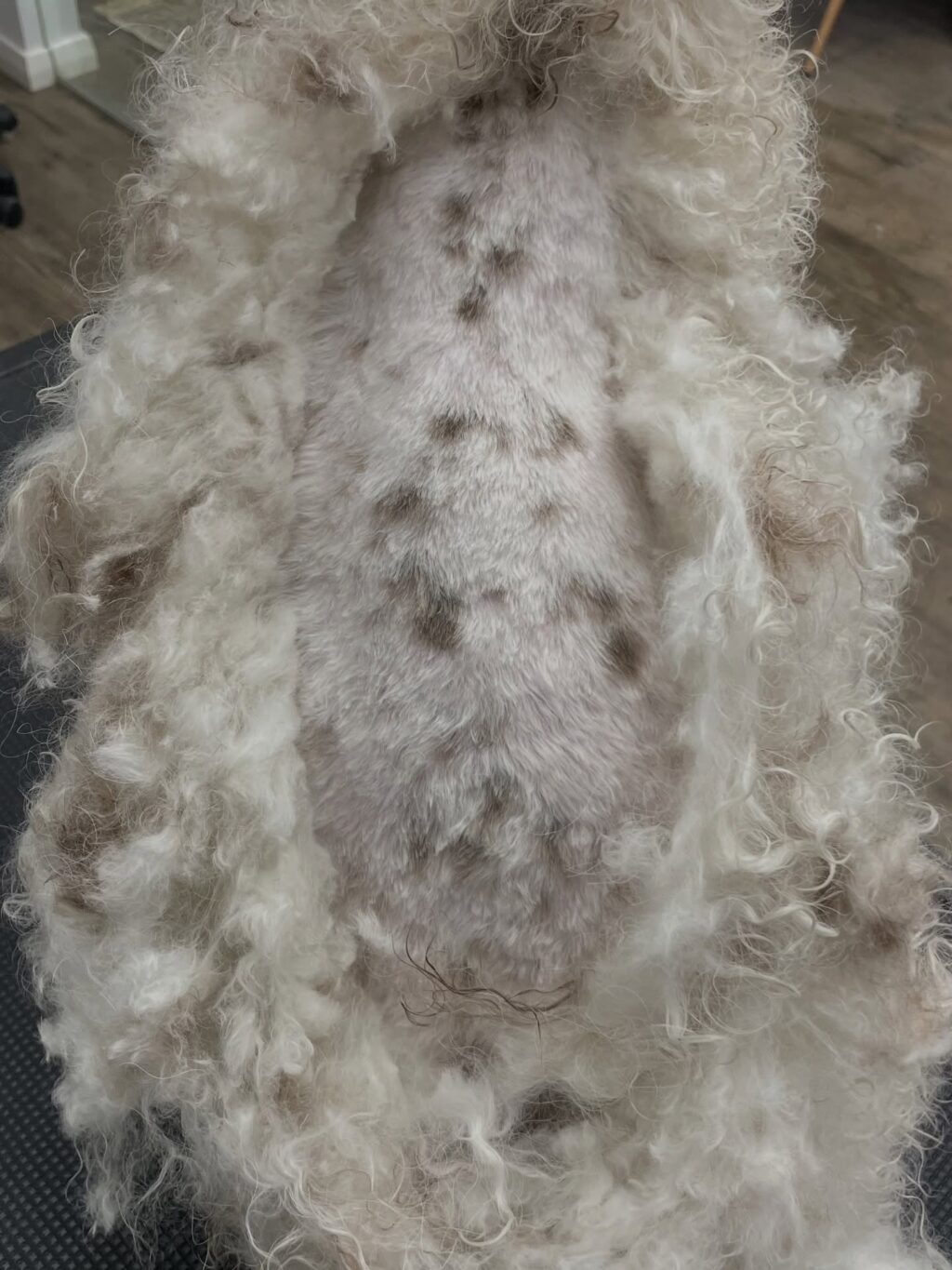 Instagram post from dumudu_vilnius. This post is in position 2.