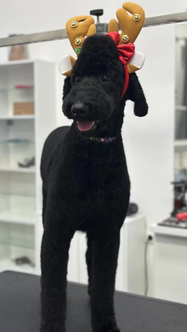 Instagram post from dumudu_vilnius. This post is in position 7.