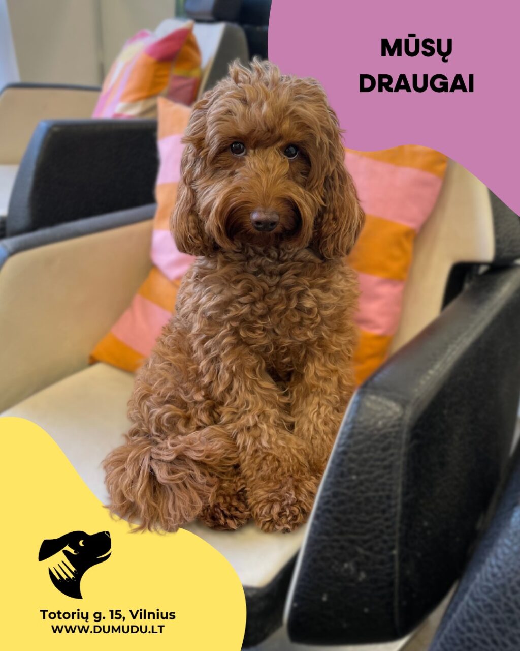 Instagram post from dumudu_vilnius. This post is in position 1.