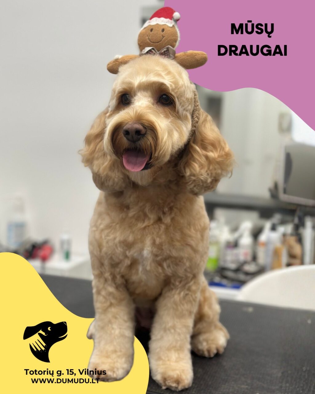 Instagram post from dumudu_vilnius. This post is in position 13.