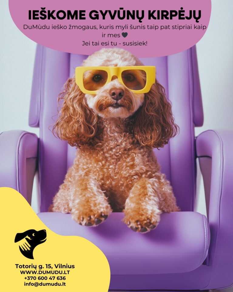 Instagram post from dumudu_vilnius. This post is in position 7.