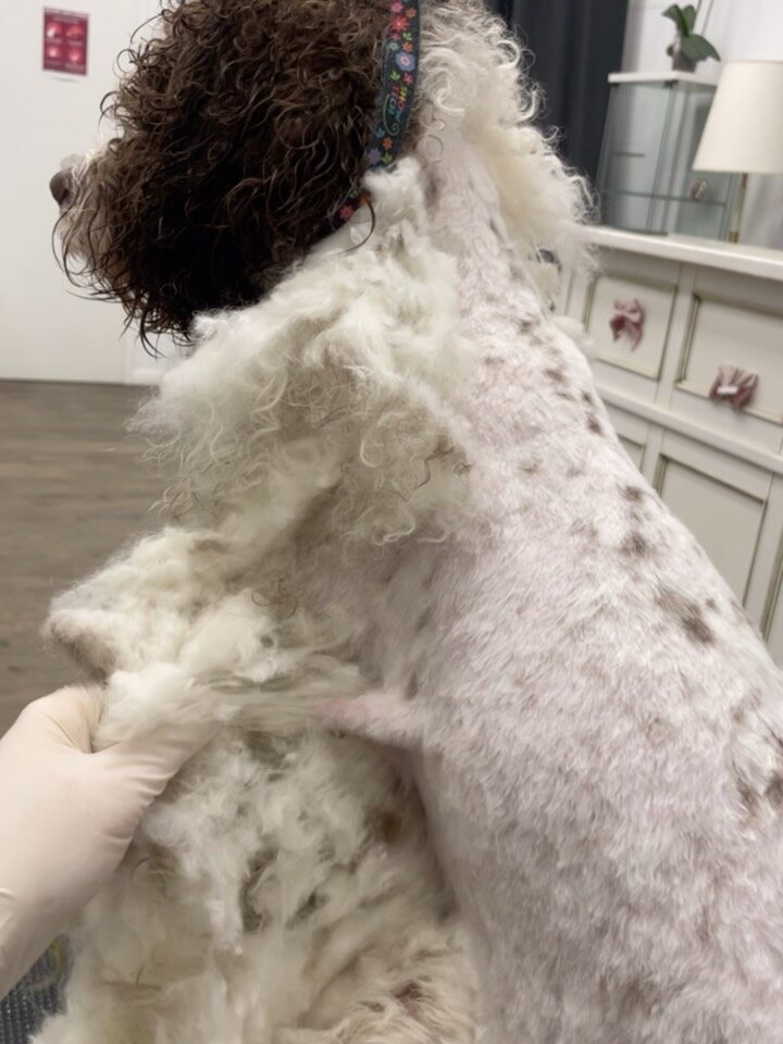 Instagram post from dumudu_vilnius. This post is in position 3.