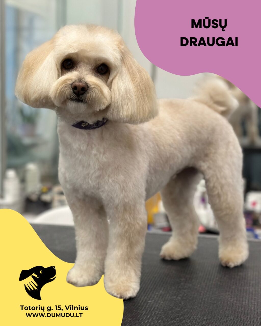 Instagram post from dumudu_vilnius. This post is in position 9.