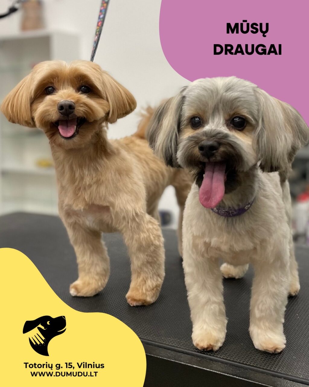 Instagram post from dumudu_vilnius. This post is in position 8.