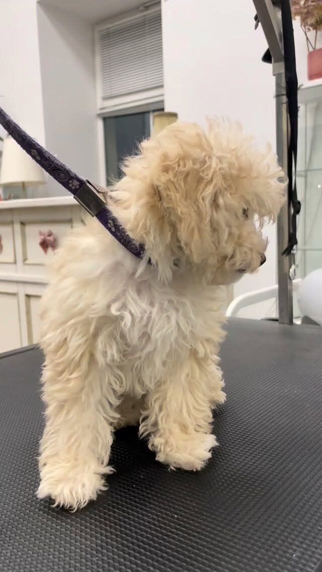 Instagram post from dumudu_vilnius. This post is in position 0.