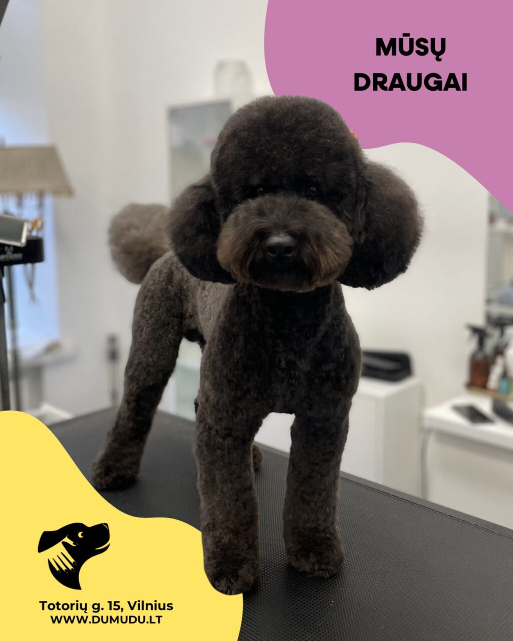 Instagram post from dumudu_vilnius. This post is in position 1.