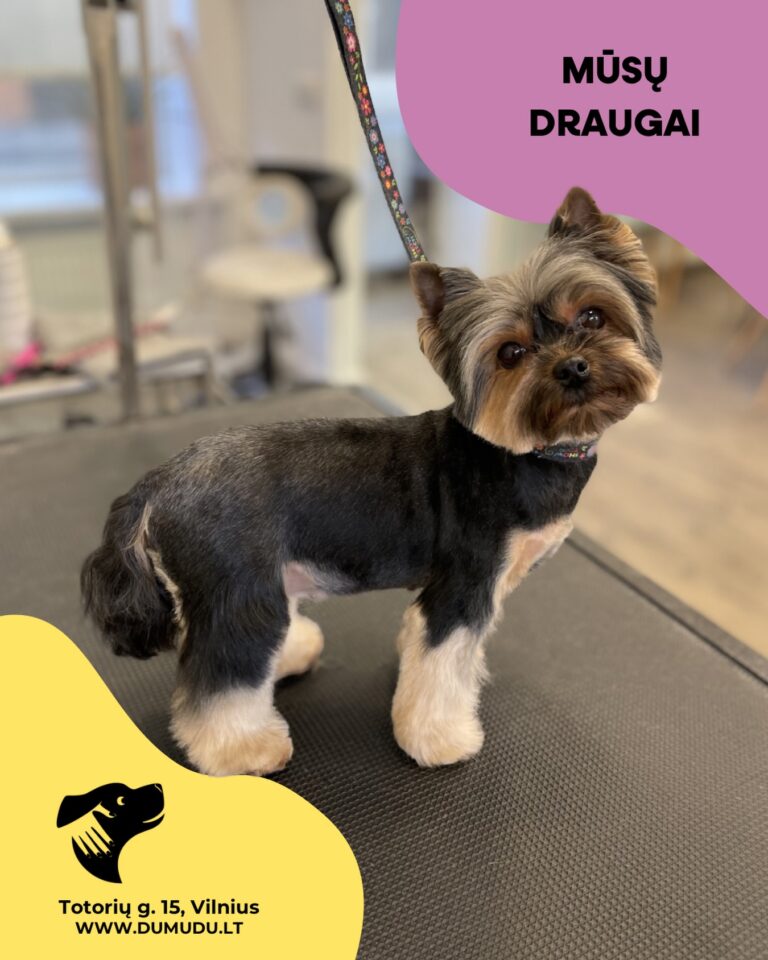 Instagram post from dumudu_vilnius. This post is in position 1.