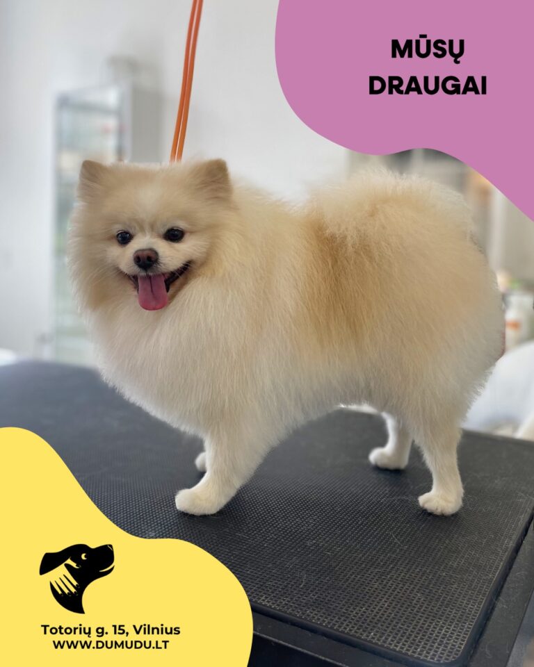 Instagram post from dumudu_vilnius. This post is in position 1.