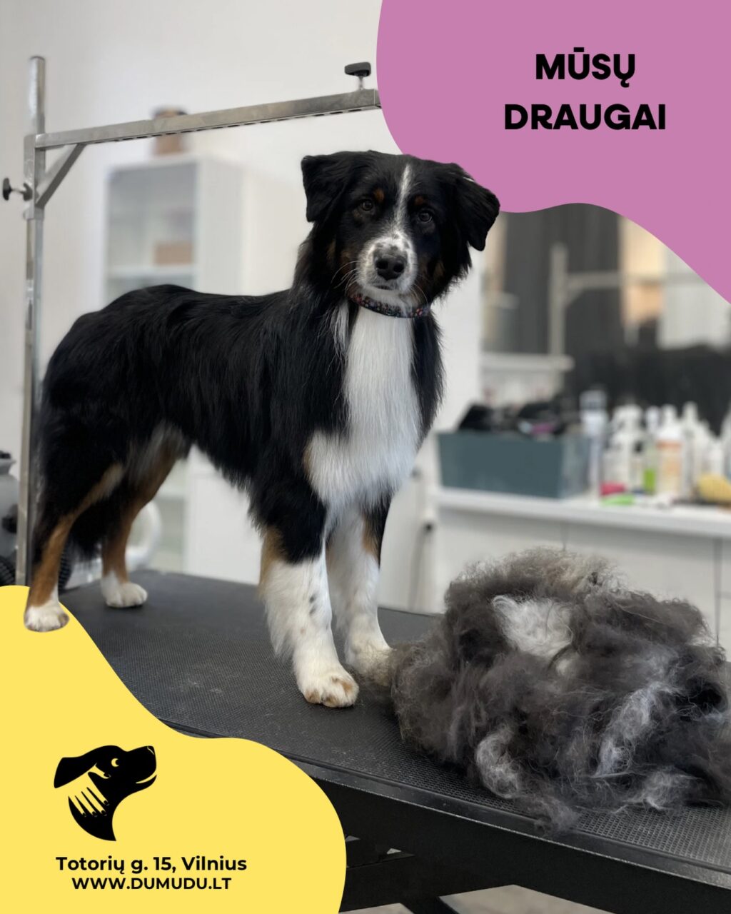 Instagram post from dumudu_vilnius. This post is in position 1.