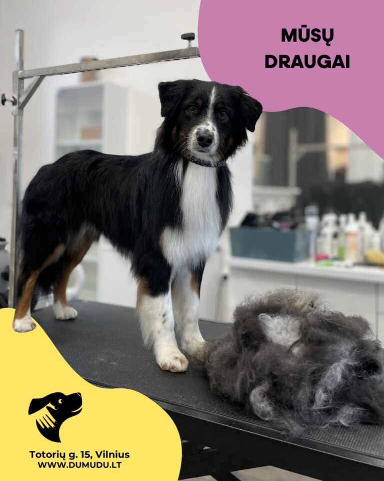 Instagram post from dumudu_vilnius. This post is in position 2.