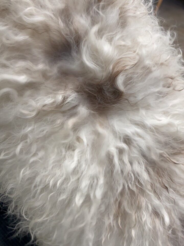 Instagram post from dumudu_vilnius. This post is in position 1.