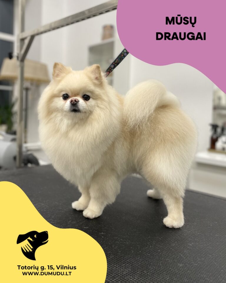 Instagram post from dumudu_vilnius. This post is in position 4.