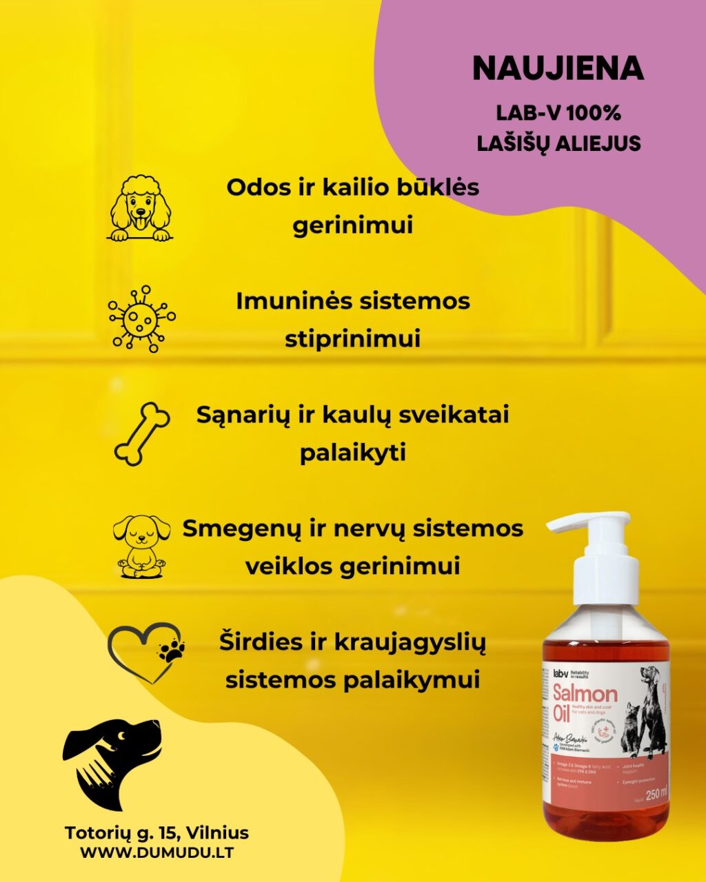 Instagram post from dumudu_vilnius. This post is in position 1.