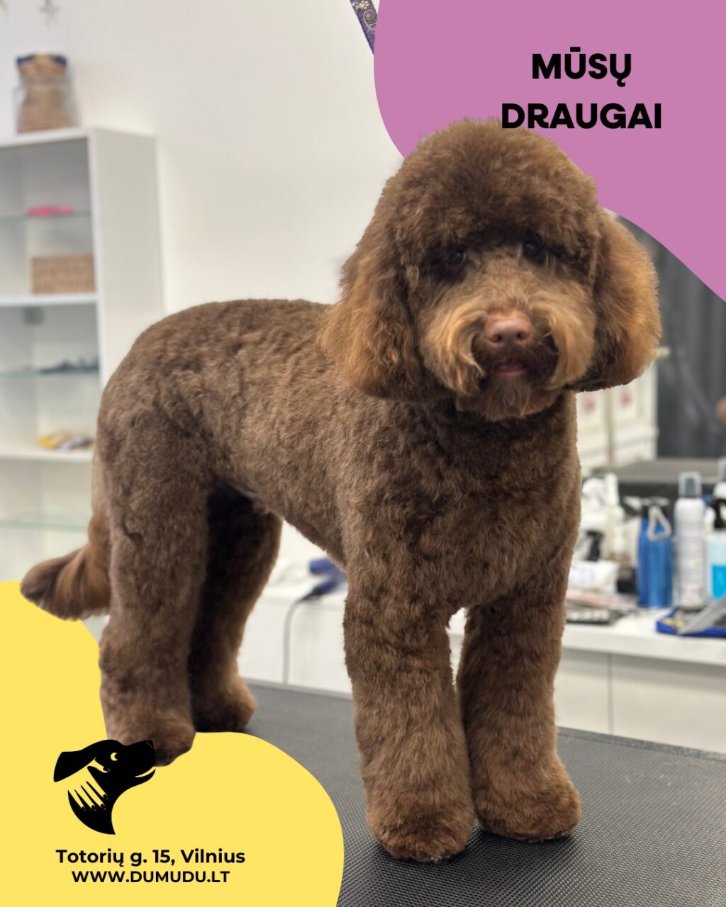 Instagram post from dumudu_vilnius. This post is in position 3.