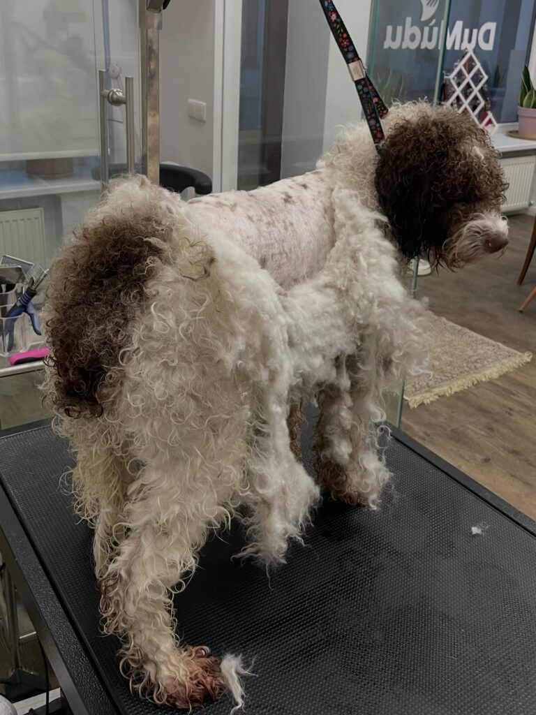 Instagram post from dumudu_vilnius. This post is in position 10.