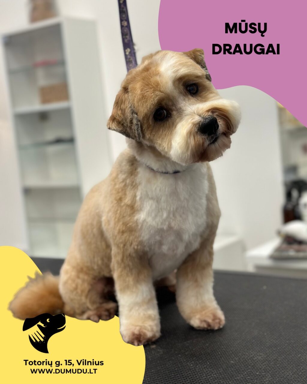 Instagram post from dumudu_vilnius. This post is in position 11.