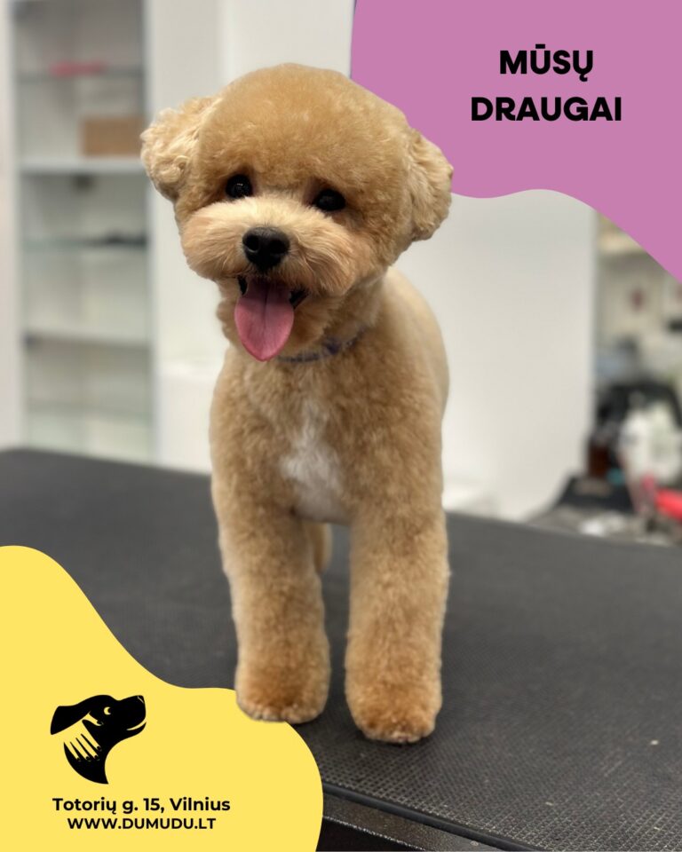 Instagram post from dumudu_vilnius. This post is in position 7.