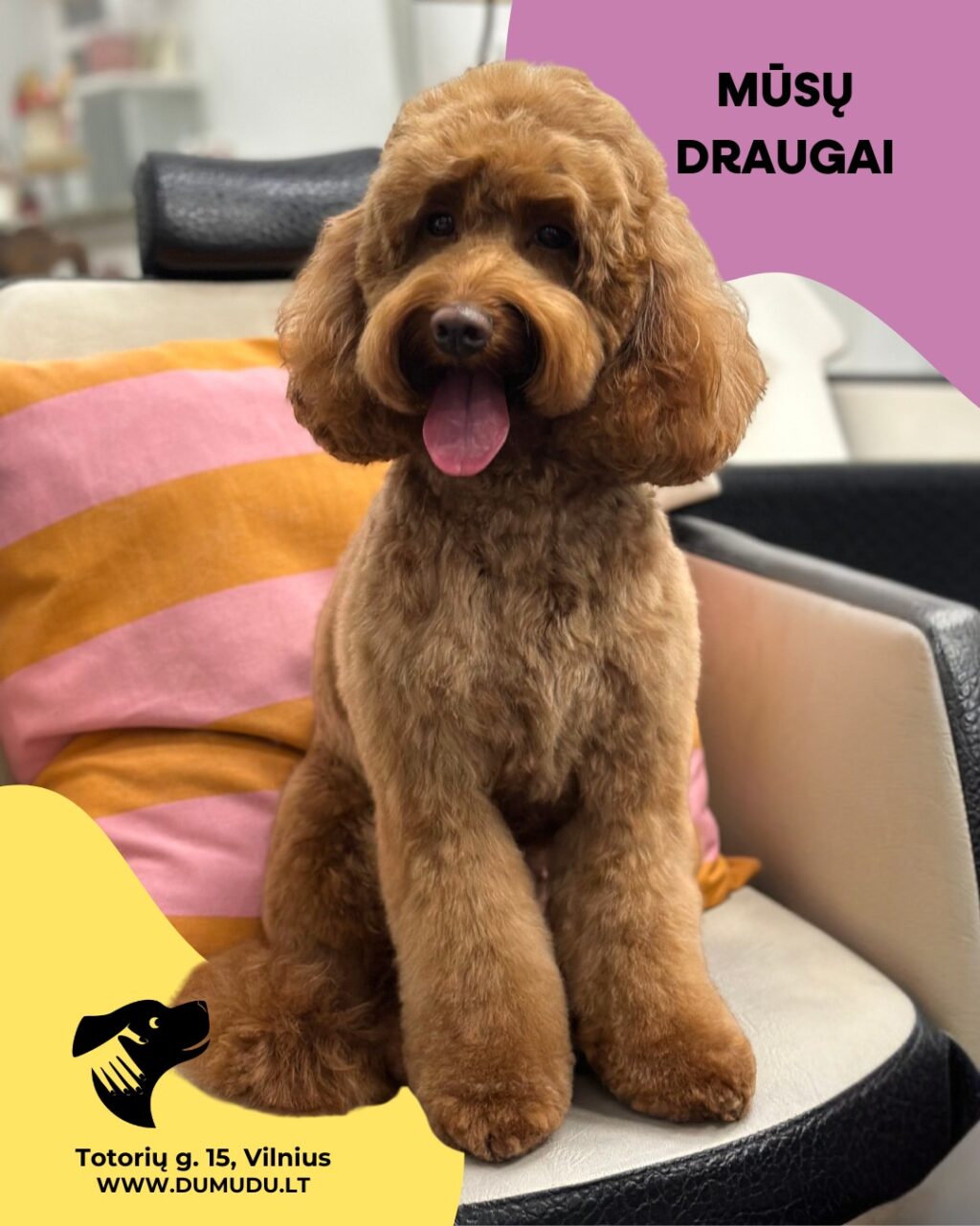 Instagram post from dumudu_vilnius. This post is in position 2.