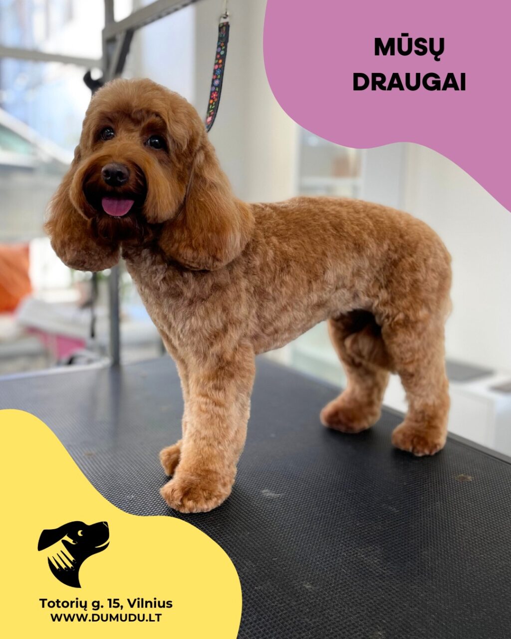 Instagram post from dumudu_vilnius. This post is in position 0.